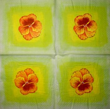 103 Stiefmütterchen - 3-ply - WIDA - 35x35 cm